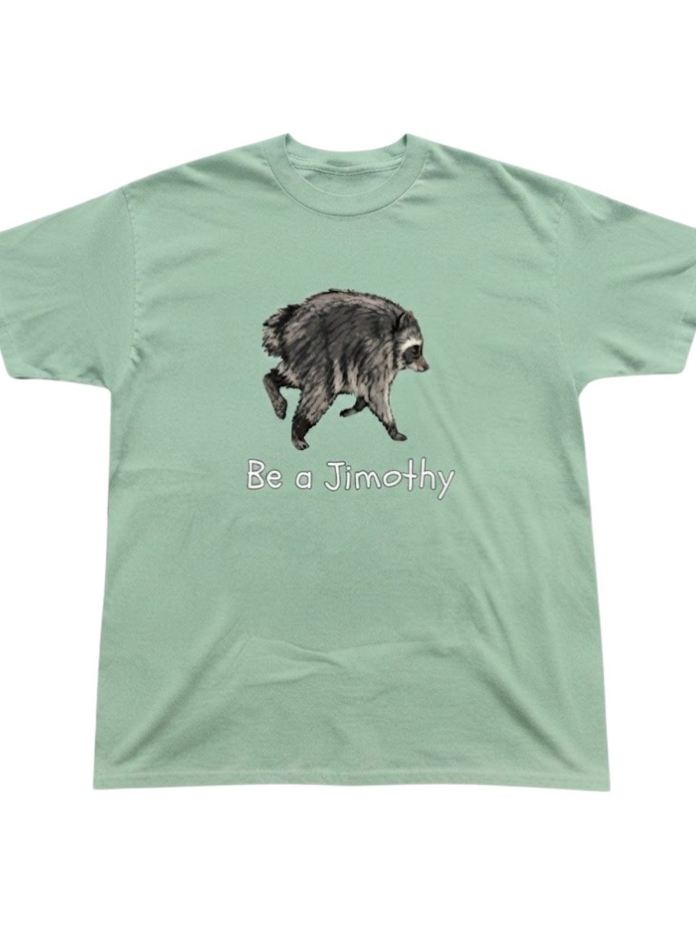 Funny Raccoon Meme Graphic Tee Gildan T-Shirt Mint Green Casual